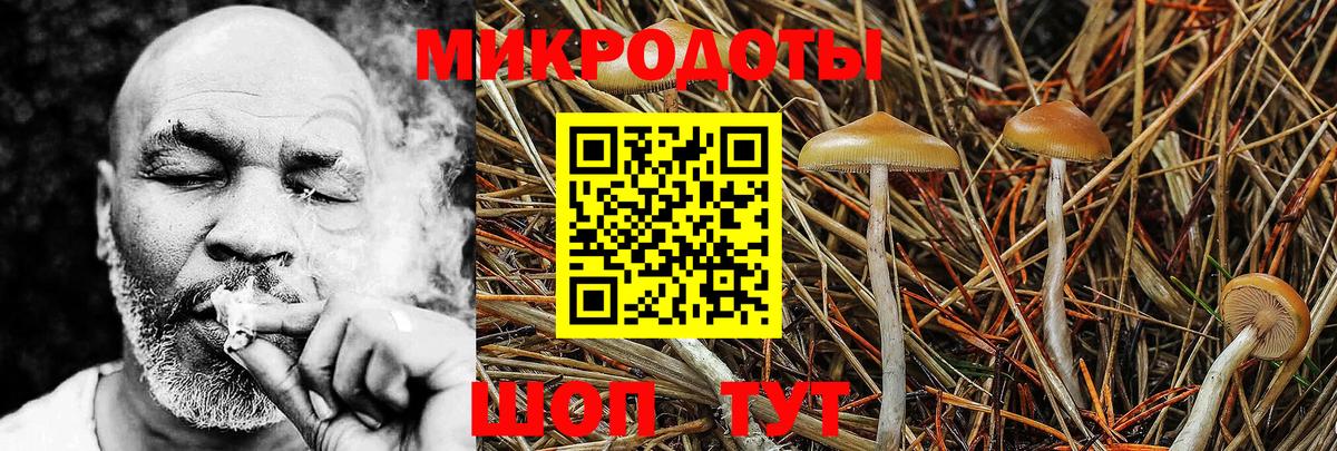 Галлюциногенные грибы мухоморы Тольятти