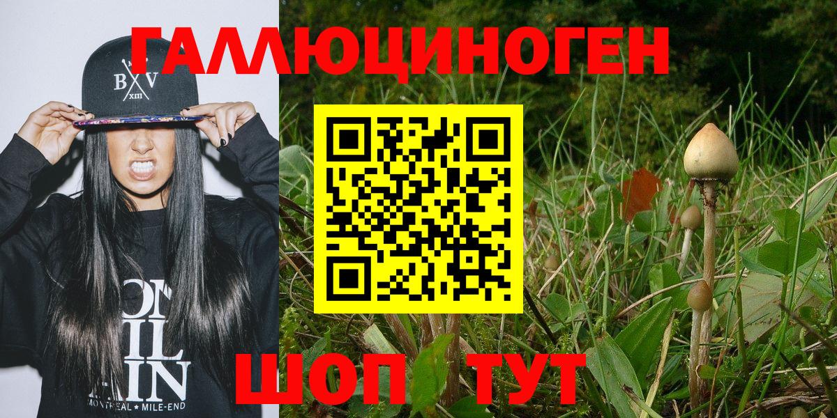Тольятти  Галлюциногенные грибы мухоморы  Вход с VPN 